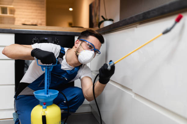Best Pest Removal Services  in Goleta, CA