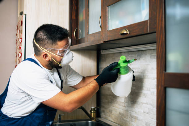 Best Commercial Pest Control Services  in Goleta, CA