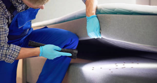 Best Local Pest Control Services  in Goleta, CA