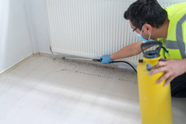 Best Emergency Pest Control  in Goleta, CA