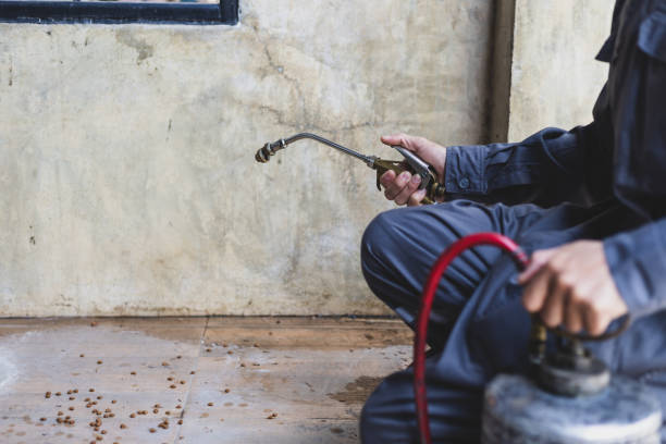 Best Ant Control Services  in Goleta, CA
